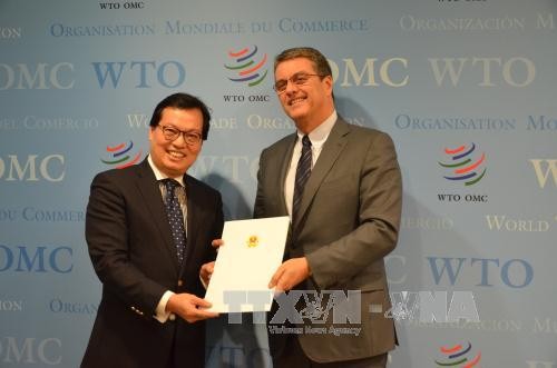 អគ្គនាយក WTO វាយតំលៃខ្ពស់សមិទ្ធិសេដ្ឋកិច្ចសង្គមរបស់វៀតណាម - ảnh 1